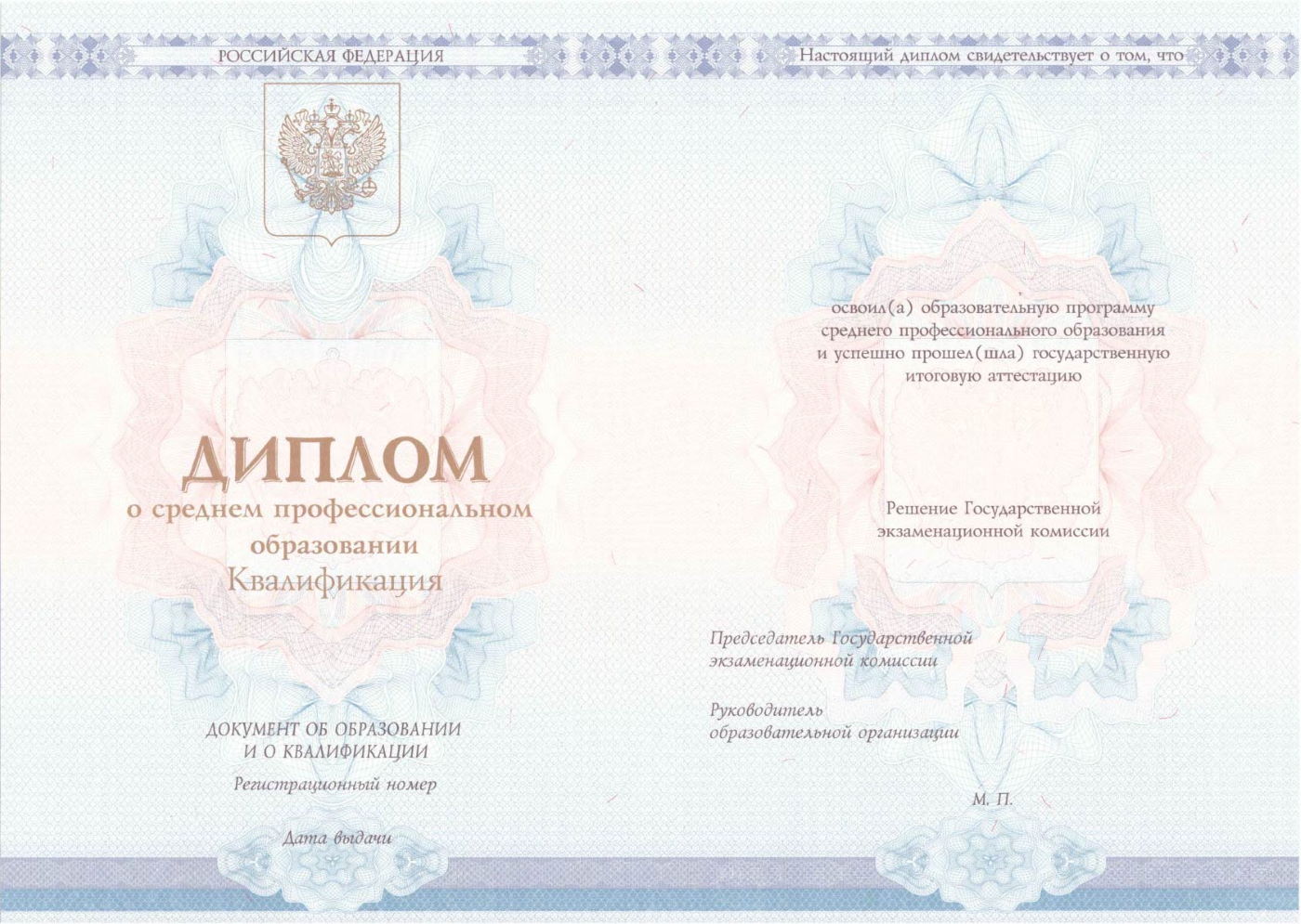 Диплом колледжа с 2014 по 2025 годы