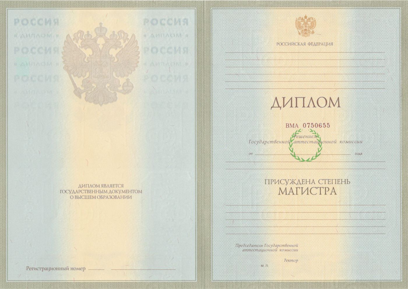 Диплом магистра 2004-2008