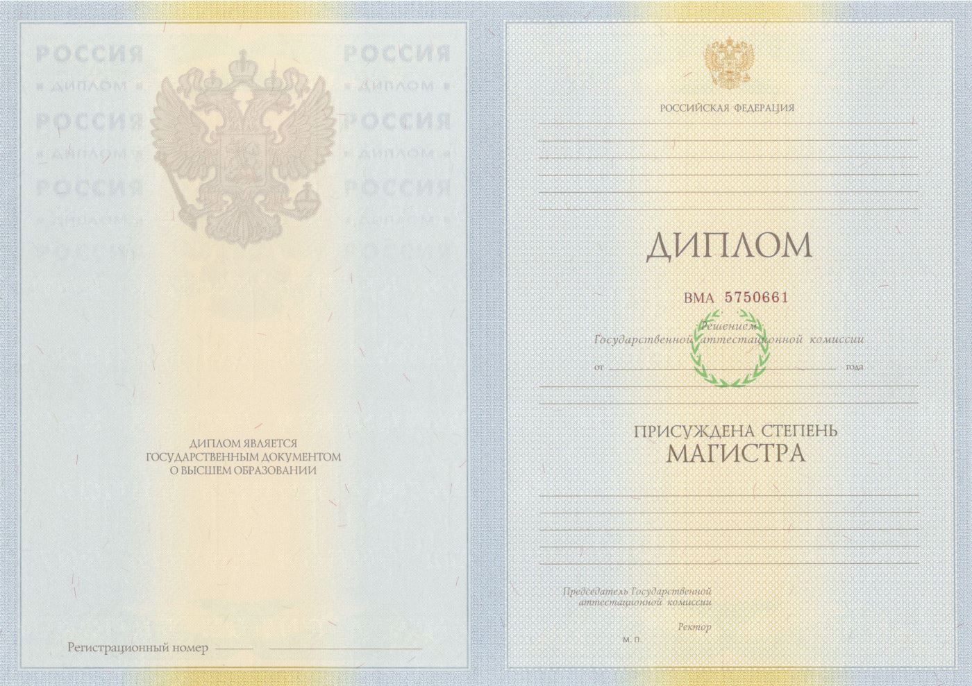 Диплом магистра 2009-2011