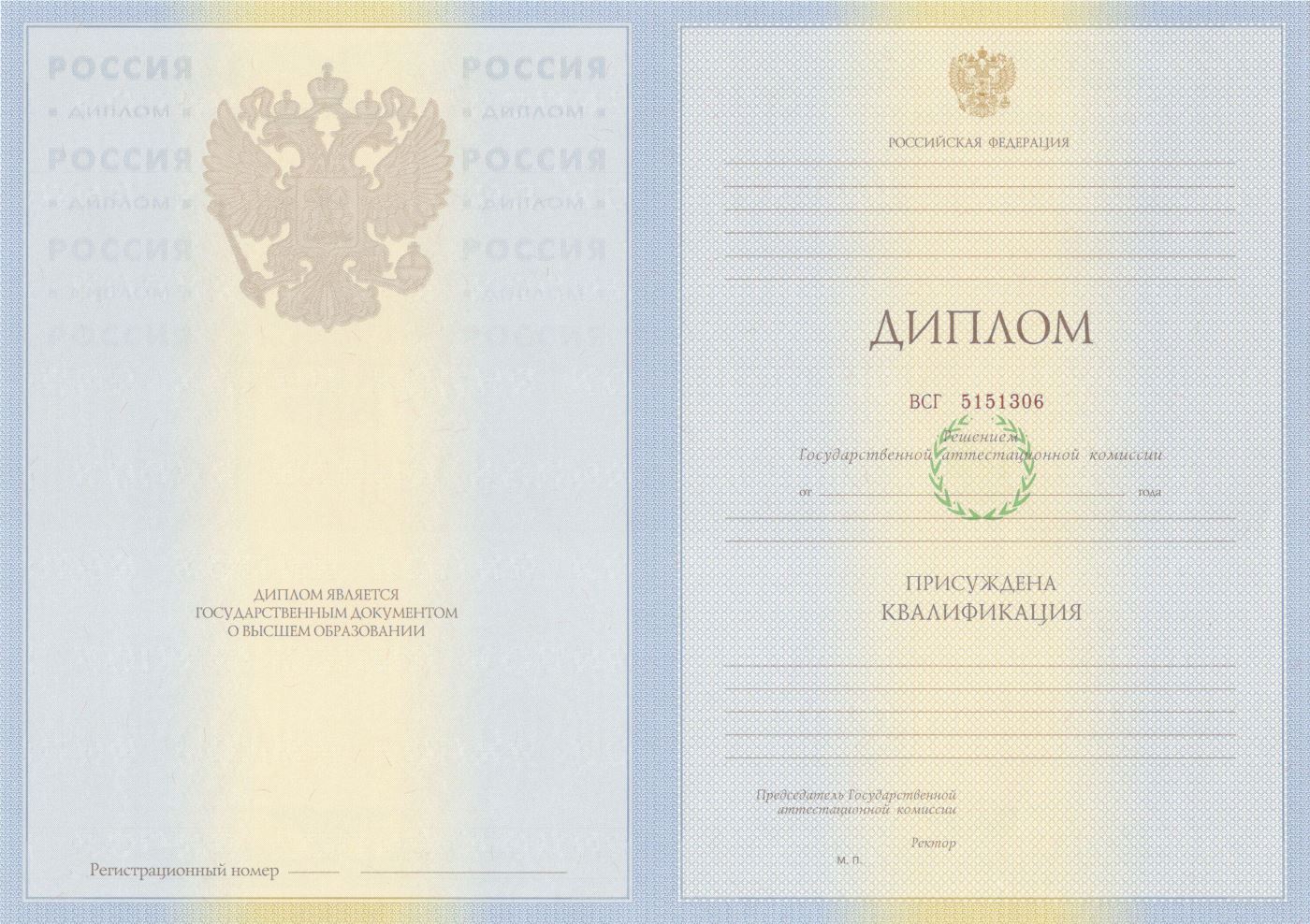 Диплом специалиста 2009-2011